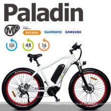 MID Drive Paladin Fat Tire Electric Mountain Bike
